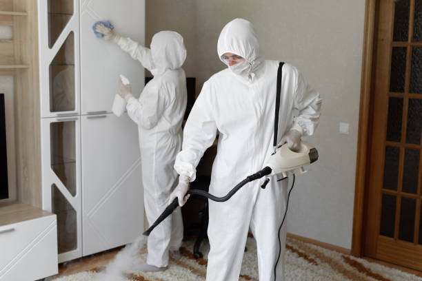 Mold Removal Process in Wofford Heights, CA