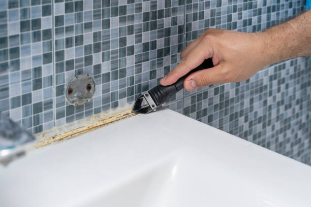 Best Professional Mold Removal  in Wofford Heights, CA