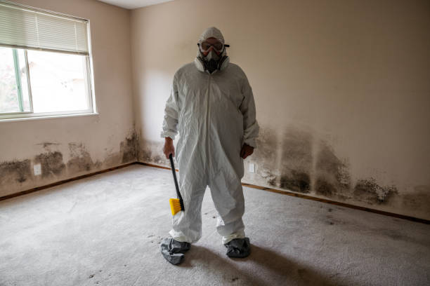 Best Office Mold Removal Services  in Wofford Heights, CA